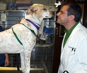 photo of Dr. Behrens at pet hospital